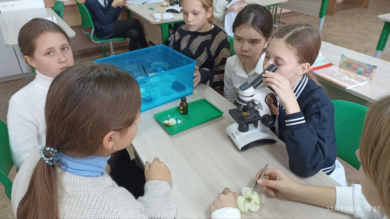 Юные биологи.